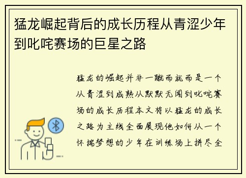猛龙崛起背后的成长历程从青涩少年到叱咤赛场的巨星之路 猛龙崛起背后的成长历程从青涩少年到叱咤赛场的巨星之路